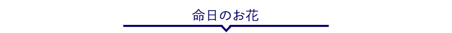 命日に贈る花ランキング