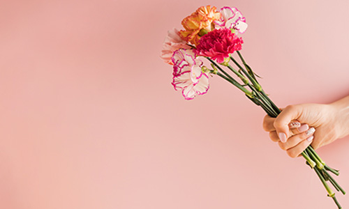 色とりどりカーネーション