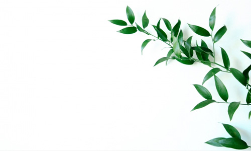 ルスカスの画像