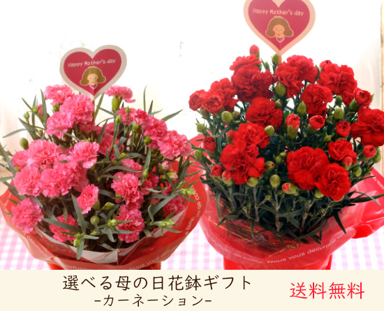 花鉢単品　ピンク・赤カーネ