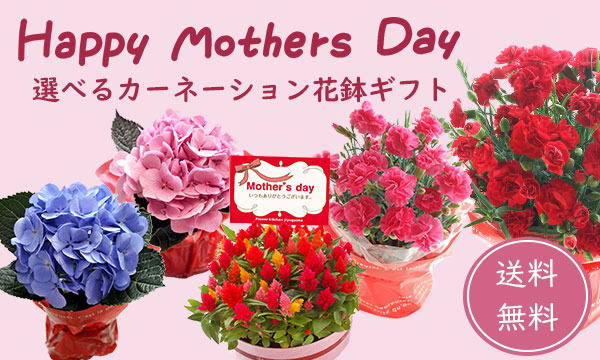 Flower Kitchen Jiyugaoka