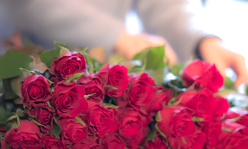 本数を選べるバラの花束の画像