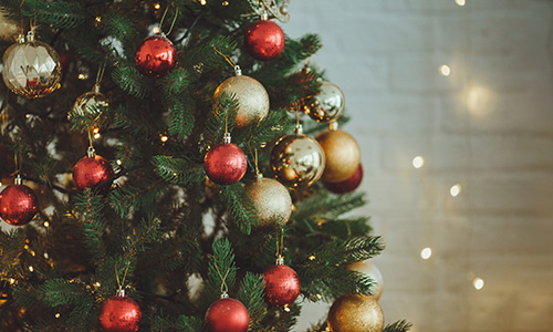 クリスマスツリーの画像