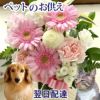 ガーベラのペットお供えアレンジ お悔やみ アレンジメント