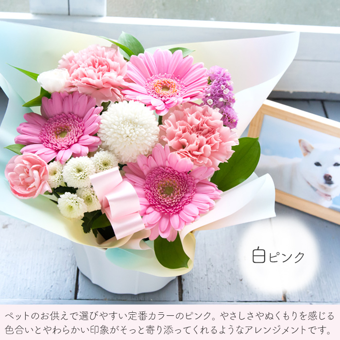 ペットお供えについて