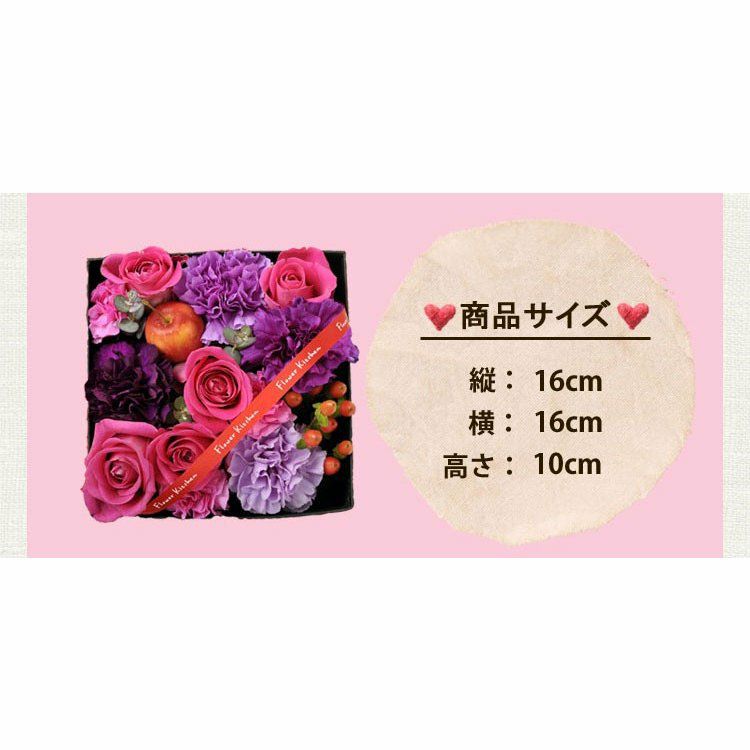 サイズ