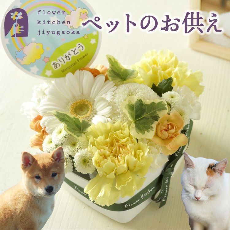 ペットのお供えハートケーキ お悔やみ アレンジメント