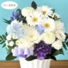 旬のおまかせお供え花Sサイズ お悔やみ アレンジメント 花束