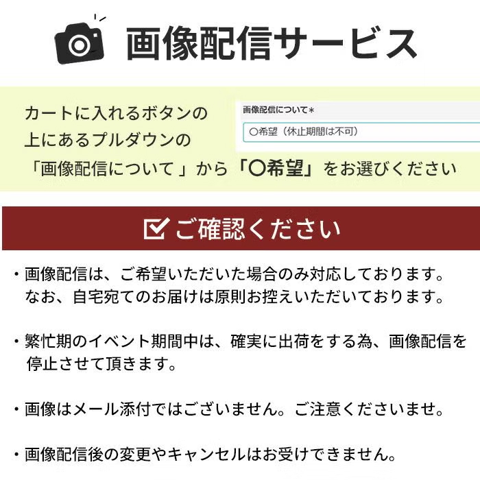 旬のおまかせお供え花Sサイズ お悔やみ アレンジメント 花束