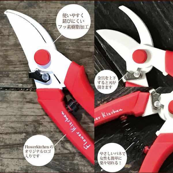 坂源剪定はさみ　