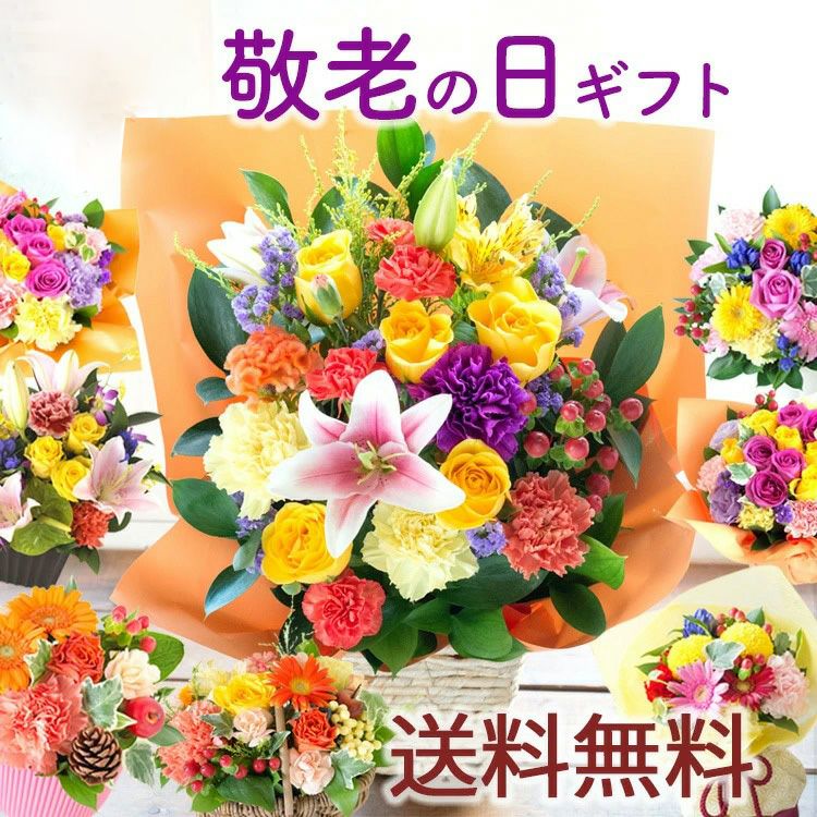 000000000307-01-m.jpg?t=