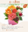彩アレンジ
