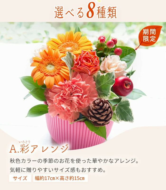彩アレンジ