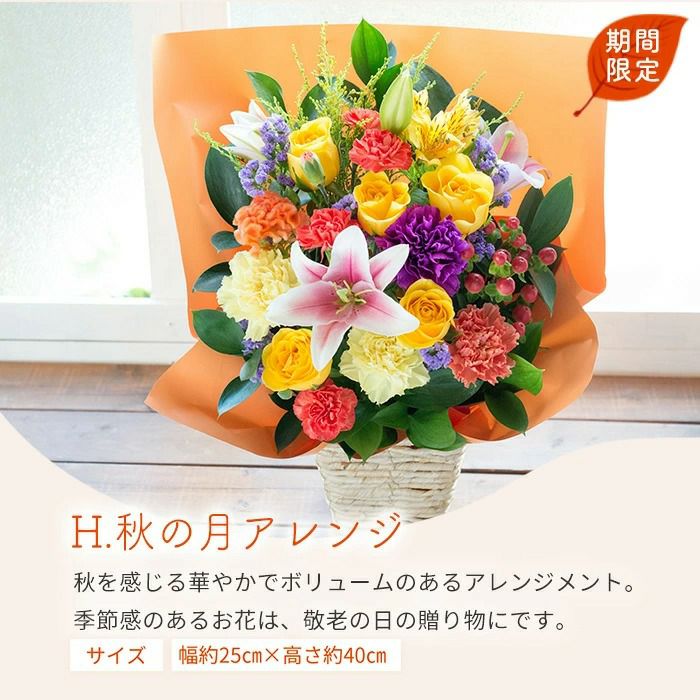 秋の月アレンジ