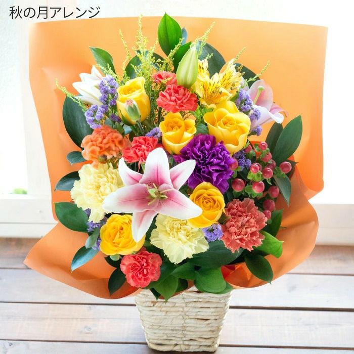 000000000307-26-l.jpg?t=