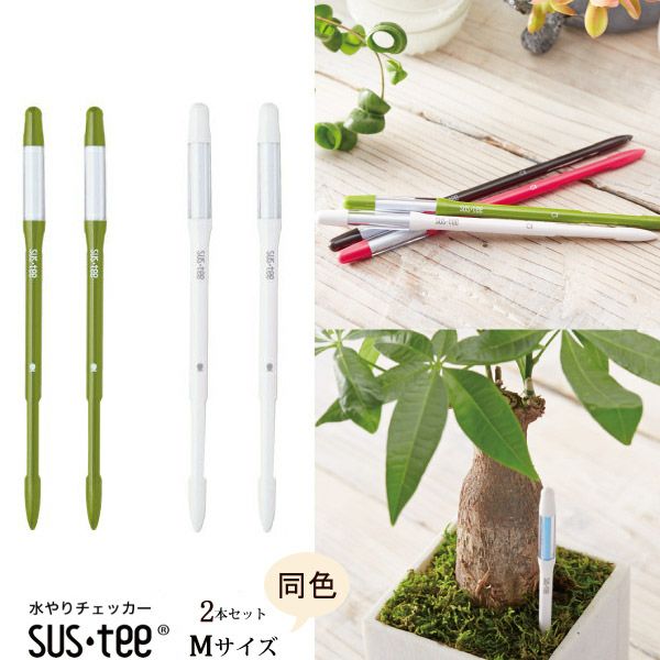 サスティーM2本セット