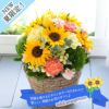 ソレイユアレンジ 誕生日 アレンジメント プレゼント ひまわり