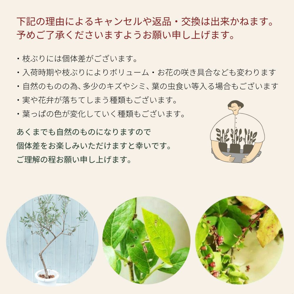 ご注意事項