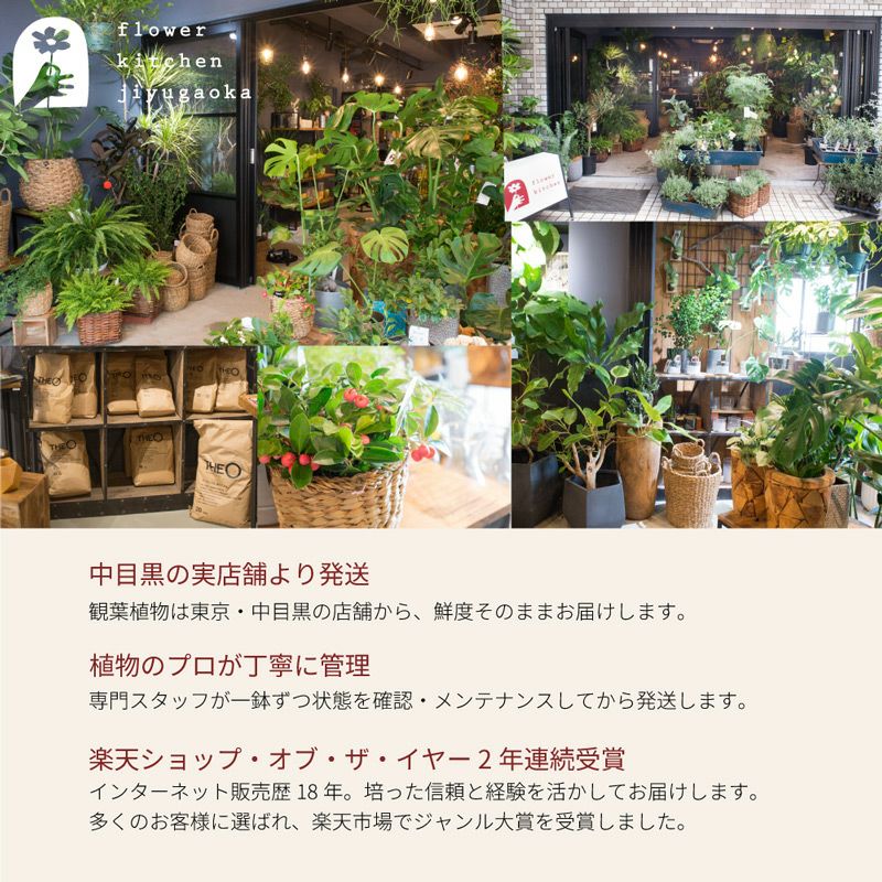 中目黒から出荷