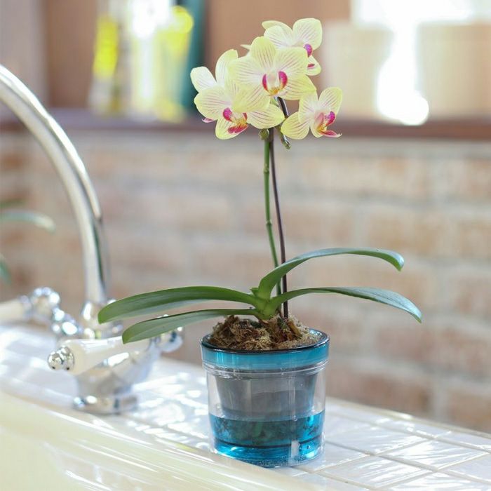 【価格交渉相談可！】ヘレンド　フラワーポット　希少品　レア品　花　蝶 価格交渉相談可！】ヘレンド フラワーポット 希少品 レア品 花 蝶